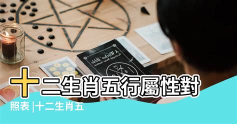 屬五行|十二生肖五行屬性對照表